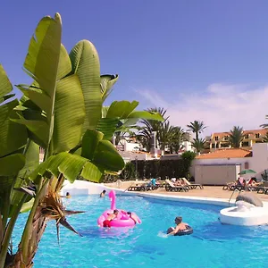 https://apartment-in-paraiso-royal-playa-de-las-americas-tenerife.tenerifehoteles.net